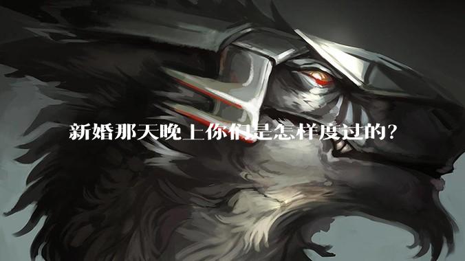 新婚那天晚上你们是怎样度过的？