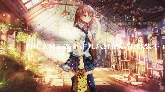 为什么Mac连个正儿八经的CAD都装不了还敢打着生产力的旗号？