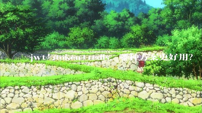 jwt与token+redis，哪种方案更好用？