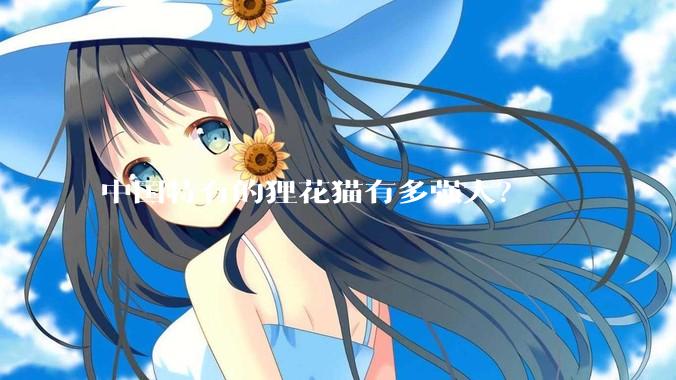 中国特有的狸花猫有多强大？