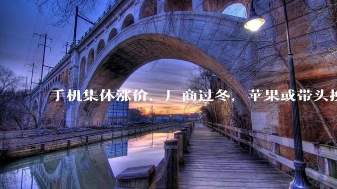 手机集体涨价，厂商过冬，苹果或带头换国产，国产存储或顺势崛起_内存_成本_产能