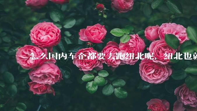 怎么国内车企都要去跑纽北呢，纽北也就是个普通赛道?