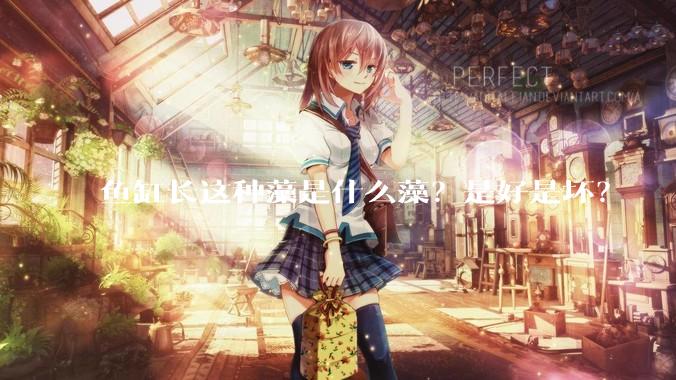 鱼缸长这种藻是什么藻？是好是坏？