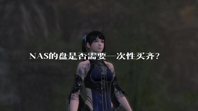 NAS的盘是否需要一次性买齐？