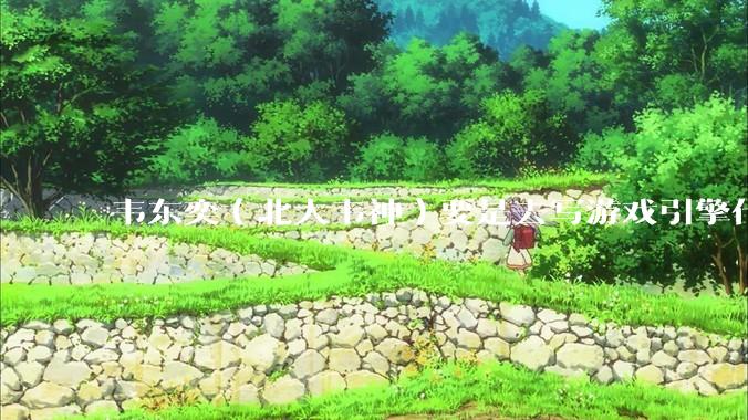 韦东奕（北大韦神）要是去写游戏引擎代码，能不能把虚幻引擎按在地上摩擦？数学好真能‘降维打击吗？