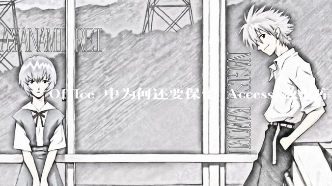 Office 中为何还要保留 Access 数据库?