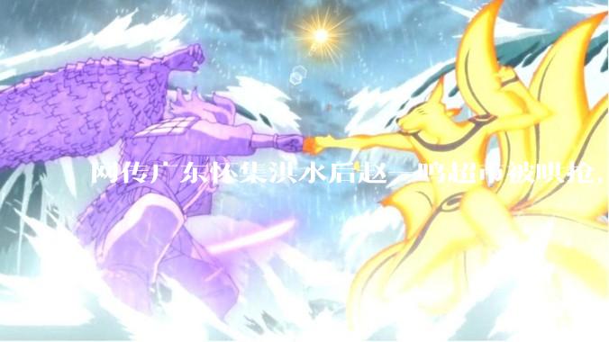 网传广东怀集洪水后赵一鸣超市被哄抢，县***回应相关单位正在核实，若属实哄抢者该承担哪些法律责任？