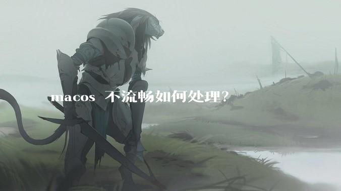 macos 不流畅如何处理？