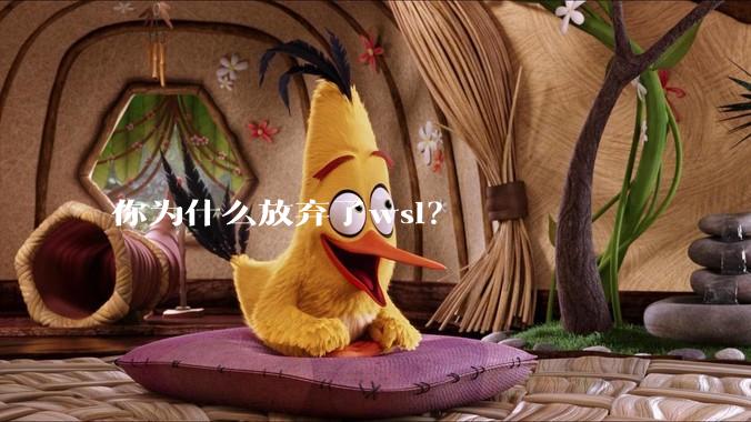 你为什么放弃了wsl？