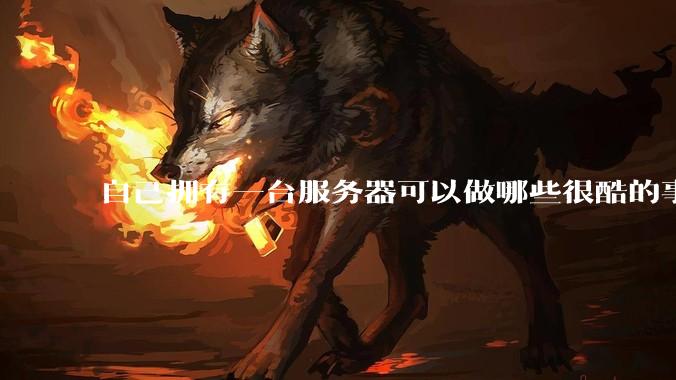 自己拥有一台服务器可以做哪些很酷的事情？