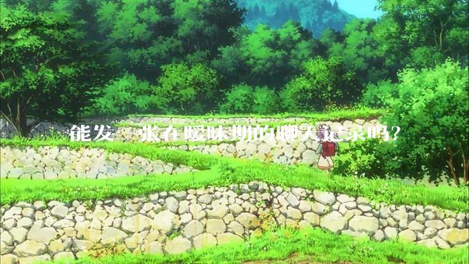 能发一张在暧昧期的聊天记录吗？